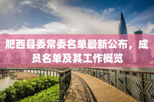 肥西縣委常委名單最新公布，成員名單及其工作概覽