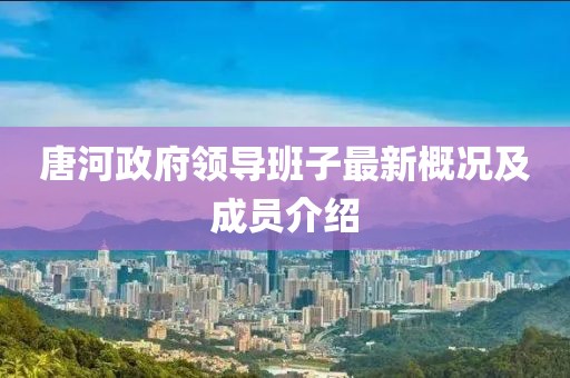 唐河政府領(lǐng)導(dǎo)班子最新概況及成員介紹