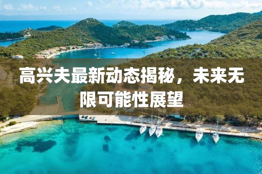 高興夫最新動態(tài)揭秘，未來無限可能性展望