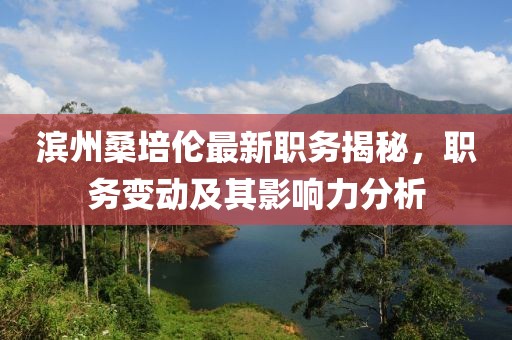 濱州桑培倫最新職務(wù)揭秘，職務(wù)變動及其影響力分析