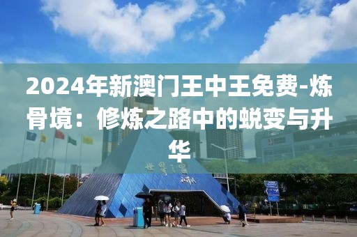 2024年新澳門王中王免費(fèi)-煉骨境：修煉之路中的蛻變與升華