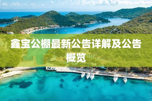 鑫寶公棚最新公告詳解及公告概覽