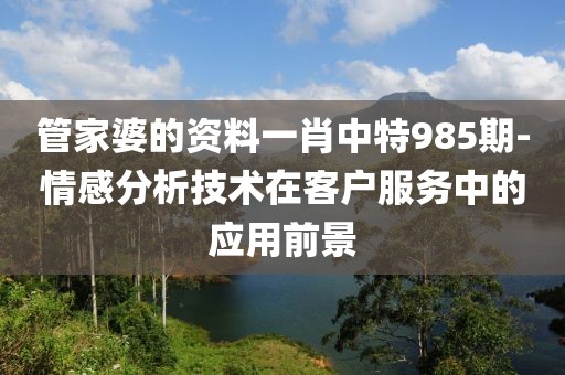 管家婆的資料一肖中特985期-情感分析技術(shù)在客戶服務(wù)中的應(yīng)用前景