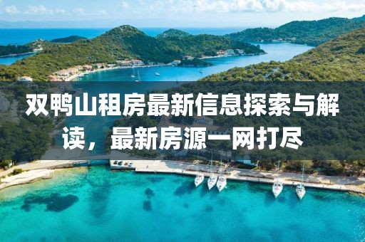 雙鴨山租房最新信息探索與解讀，最新房源一網(wǎng)打盡