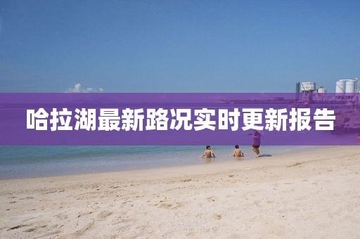 哈拉湖最新路況實(shí)時(shí)更新報(bào)告