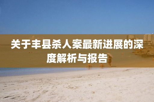 關(guān)于豐縣殺人案最新進展的深度解析與報告