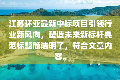 江蘇環(huán)亞最新中標(biāo)項目引領(lǐng)行業(yè)新風(fēng)向，塑造未來新標(biāo)桿典范標(biāo)題簡潔明了，符合文章內(nèi)容。