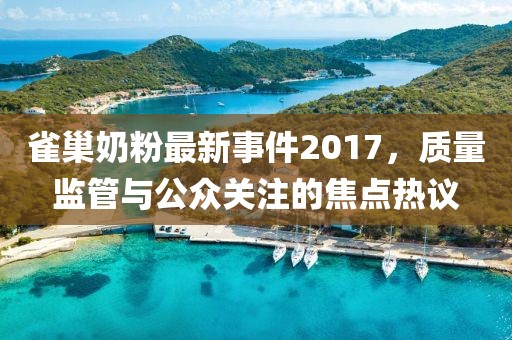 雀巢奶粉最新事件2017，質(zhì)量監(jiān)管與公眾關(guān)注的焦點(diǎn)熱議