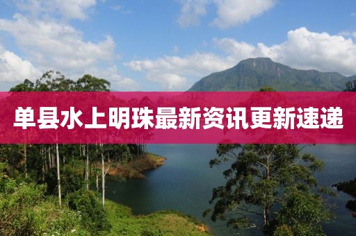 單縣水上明珠最新資訊更新速遞