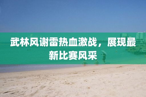 武林風(fēng)謝雷熱血激戰(zhàn)，展現(xiàn)最新比賽風(fēng)采