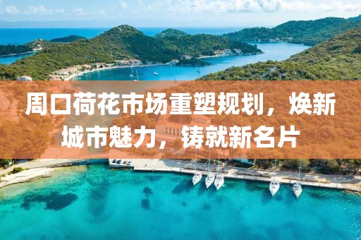 周口荷花市場重塑規(guī)劃，煥新城市魅力，鑄就新名片