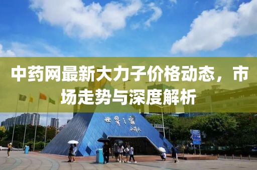 中藥網(wǎng)最新大力子價格動態(tài)，市場走勢與深度解析