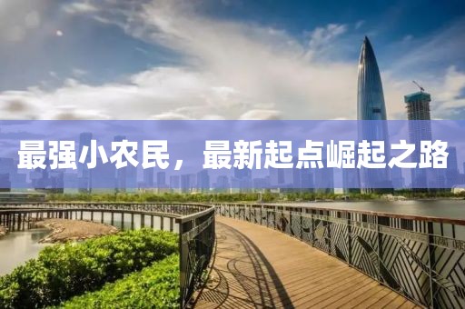 最強小農(nóng)民，最新起點崛起之路