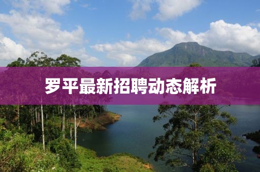 羅平最新招聘動態(tài)解析
