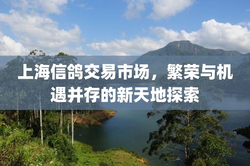 上海信鴿交易市場，繁榮與機(jī)遇并存的新天地探索