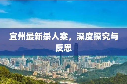 宜州最新殺人案，深度探究與反思