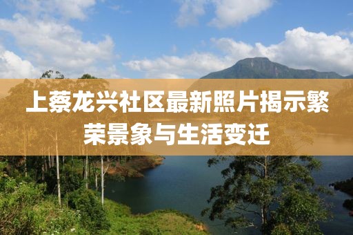 上蔡龍興社區(qū)最新照片揭示繁榮景象與生活變遷
