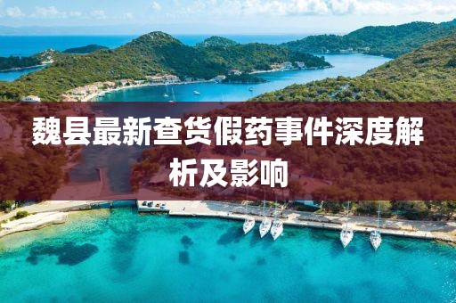 魏縣最新查貨假藥事件深度解析及影響