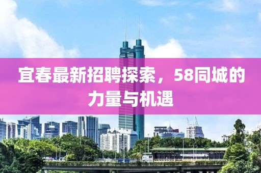 宜春最新招聘探索，58同城的力量與機(jī)遇