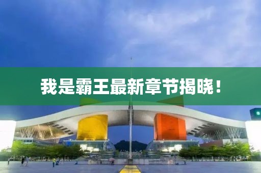 我是霸王最新章節(jié)揭曉！