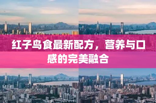 紅子鳥食最新配方，營養(yǎng)與口感的完美融合