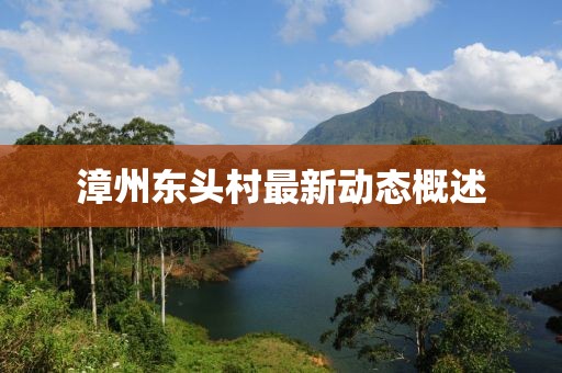 漳州東頭村最新動(dòng)態(tài)概述