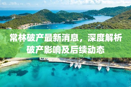 常林破產(chǎn)最新消息，深度解析破產(chǎn)影響及后續(xù)動(dòng)態(tài)
