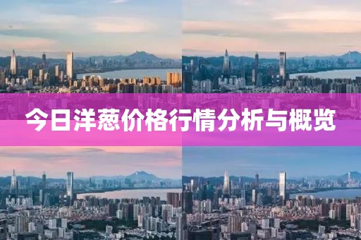 今日洋蔥價格行情分析與概覽