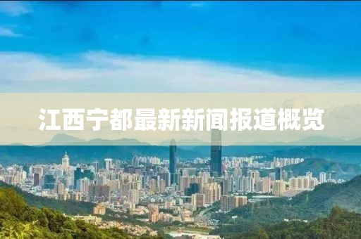 江西寧都最新新聞報(bào)道概覽
