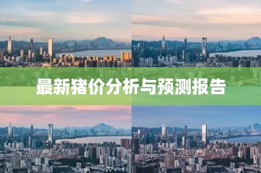 最新豬價分析與預測報告