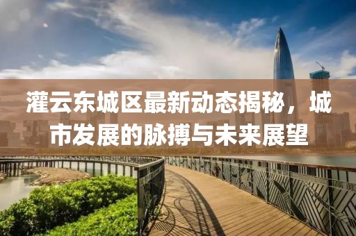 灌云東城區(qū)最新動態(tài)揭秘，城市發(fā)展的脈搏與未來展望