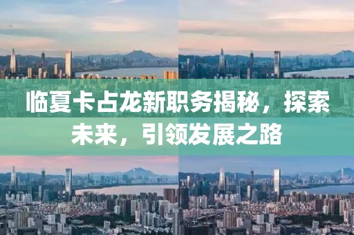 臨夏卡占龍新職務揭秘，探索未來，引領發(fā)展之路