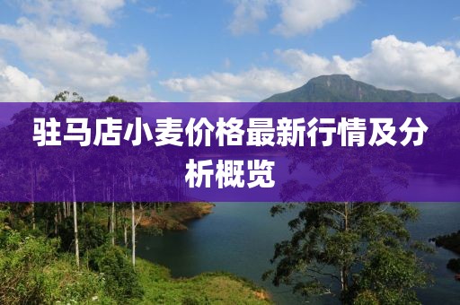 駐馬店小麥價格最新行情及分析概覽