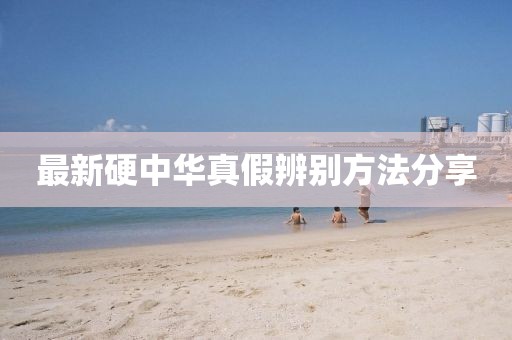 最新硬中華真假辨別方法分享