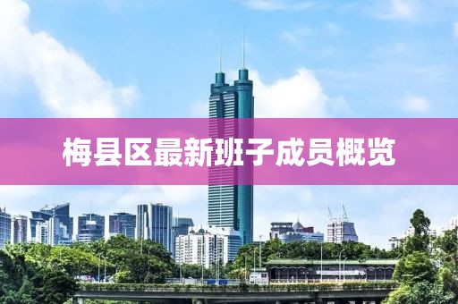 梅縣區(qū)最新班子成員概覽