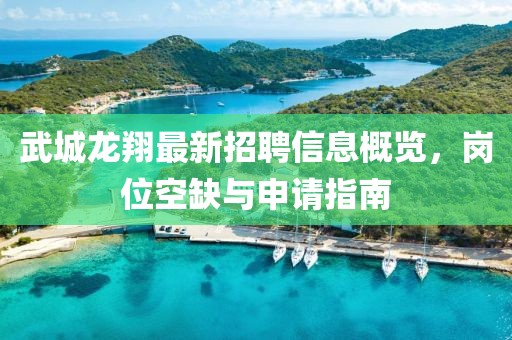 武城龍翔最新招聘信息概覽，崗位空缺與申請(qǐng)指南