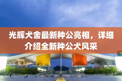 光輝犬舍最新種公亮相，詳細介紹全新種公犬風采