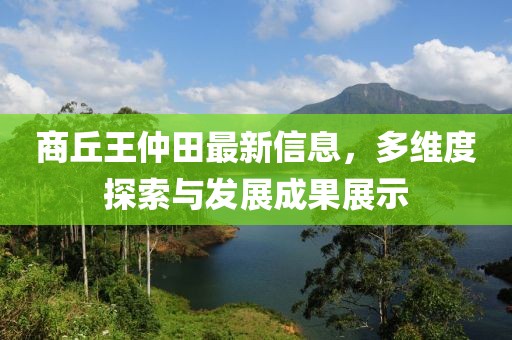 商丘王仲田最新信息，多維度探索與發(fā)展成果展示