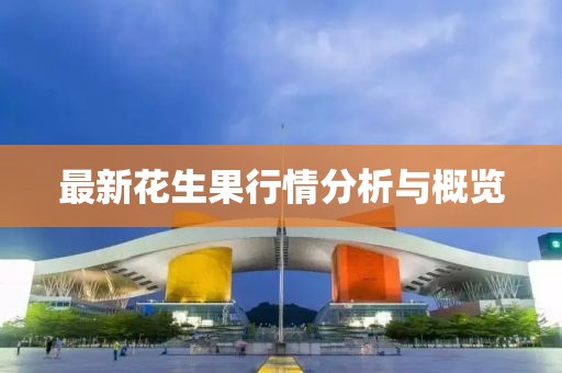 最新花生果行情分析與概覽