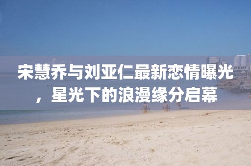 宋慧喬與劉亞仁最新戀情曝光，星光下的浪漫緣分啟幕