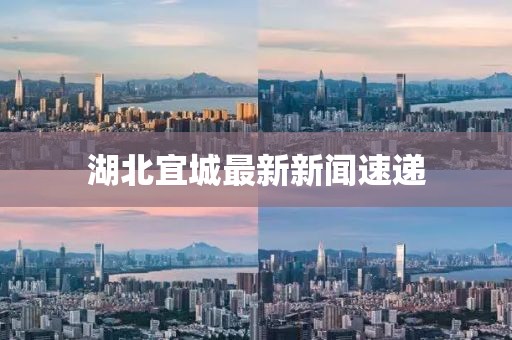 湖北宜城最新新聞速遞