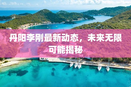 丹陽(yáng)李剛最新動(dòng)態(tài)，未來(lái)無(wú)限可能揭秘