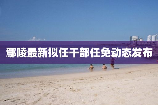鄢陵最新擬任干部任免動(dòng)態(tài)發(fā)布