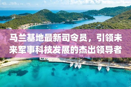 馬蘭基地最新司令員，引領(lǐng)未來(lái)軍事科技發(fā)展的杰出領(lǐng)導(dǎo)者