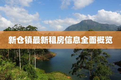 新倉(cāng)鎮(zhèn)最新租房信息全面概覽