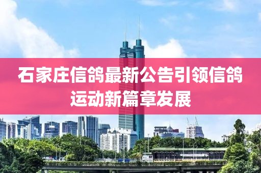 石家莊信鴿最新公告引領(lǐng)信鴿運(yùn)動(dòng)新篇章發(fā)展