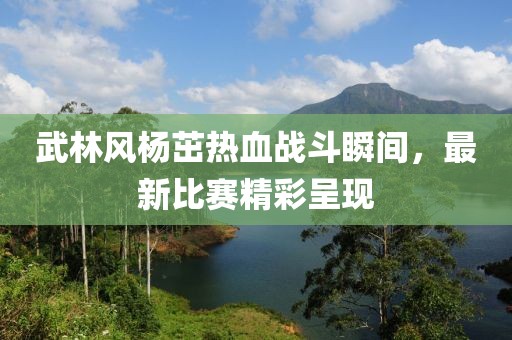武林風(fēng)楊茁熱血戰(zhàn)斗瞬間，最新比賽精彩呈現(xiàn)