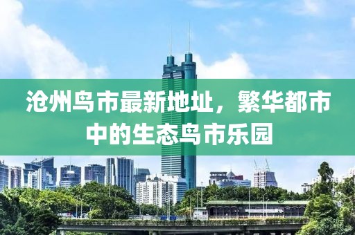 滄州鳥市最新地址，繁華都市中的生態(tài)鳥市樂園