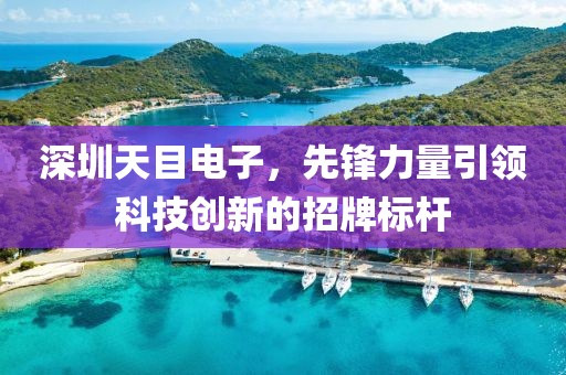 深圳天目電子，先鋒力量引領(lǐng)科技創(chuàng)新的招牌標(biāo)桿