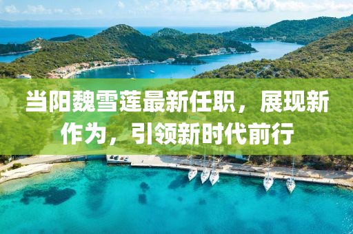 當(dāng)陽魏雪蓮最新任職，展現(xiàn)新作為，引領(lǐng)新時代前行